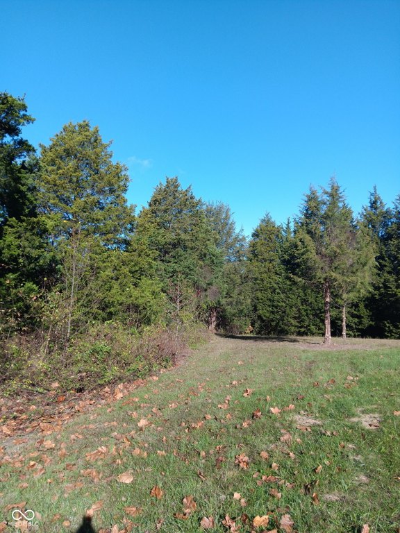 Picture 16