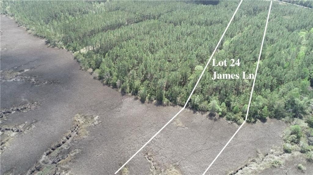 Picture 3