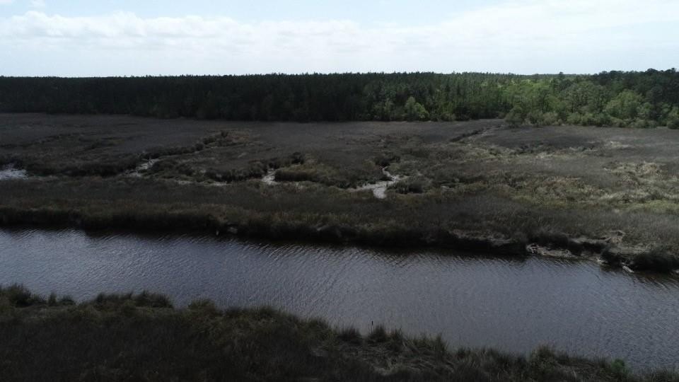 Picture 12