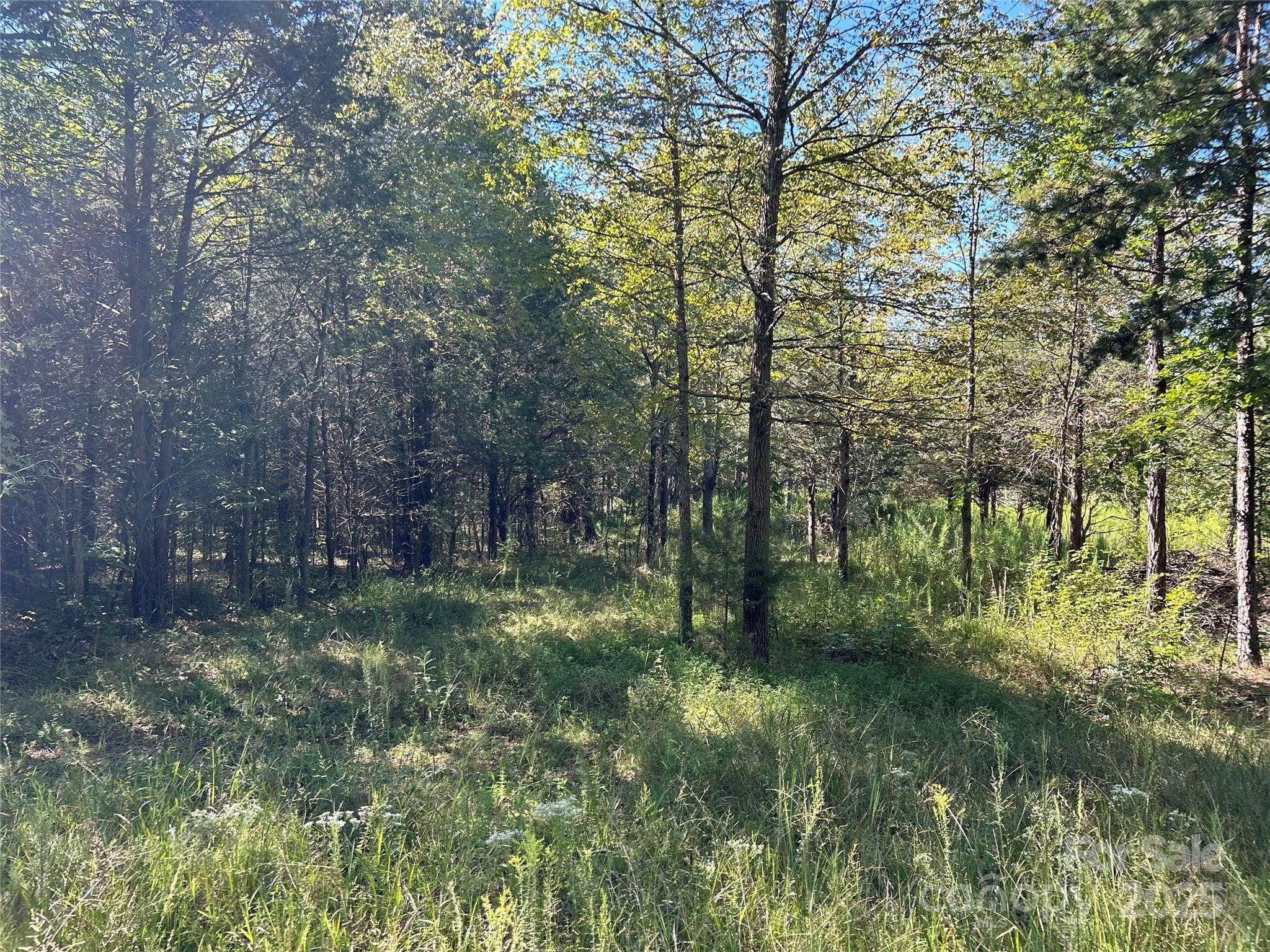 4-Acre Estate Property in Mocksville