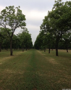 LAND - Quemado, TX
