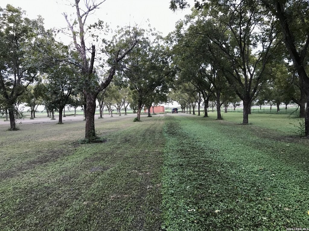 Picture 5