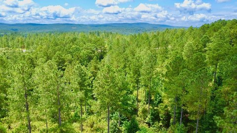 Mountain Community Cul-de-Sac Lot