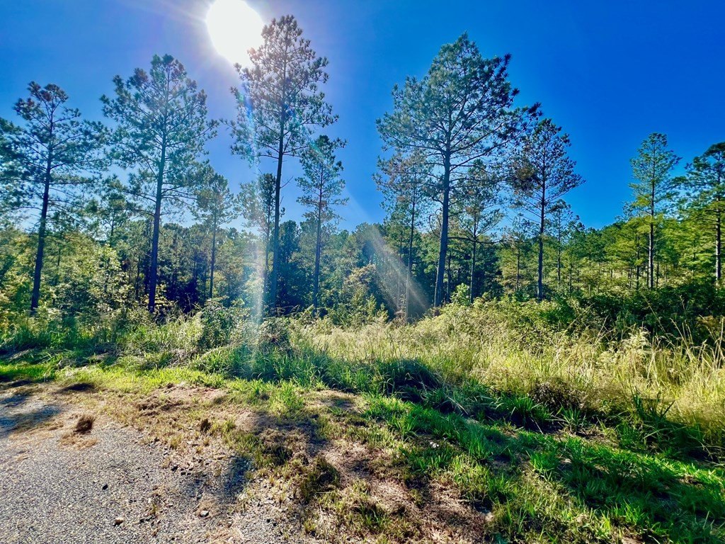Picture 25