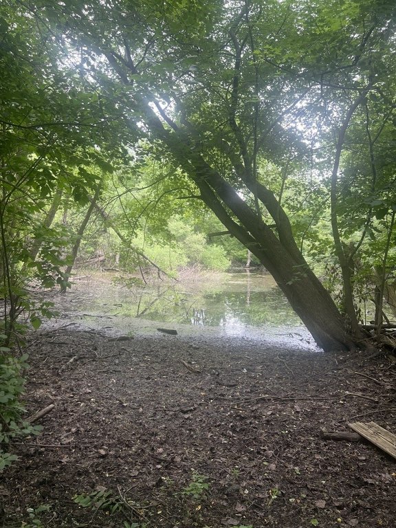 Picture 5