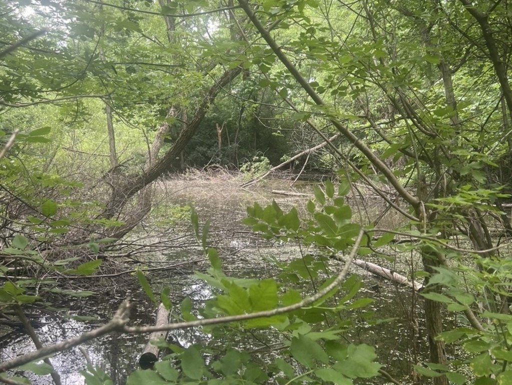 Picture 4
