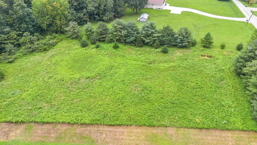 Picture 11
