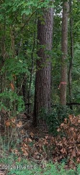 LAND - North Augusta, SC