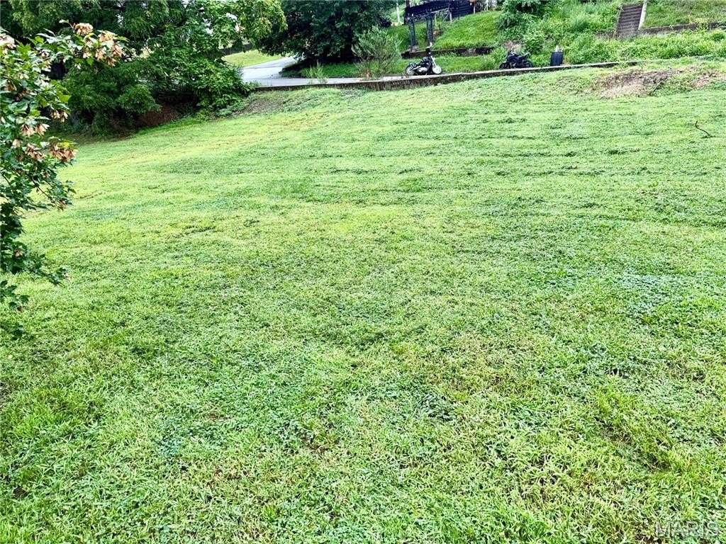 Picture 2