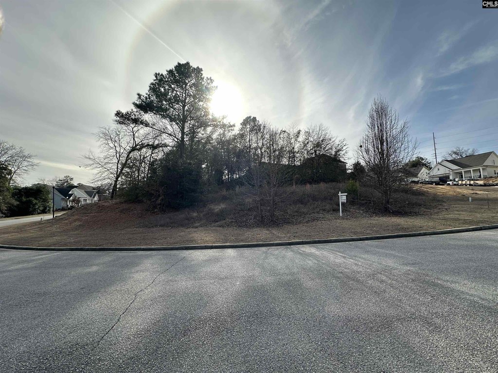 129 Mayhaw Dr, Columbia, SC 29206