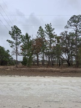 Residential Land in Weeki Wachee