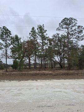 Residential Land in Weeki Wachee