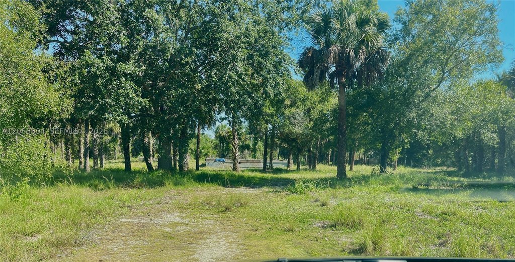 Picture 24