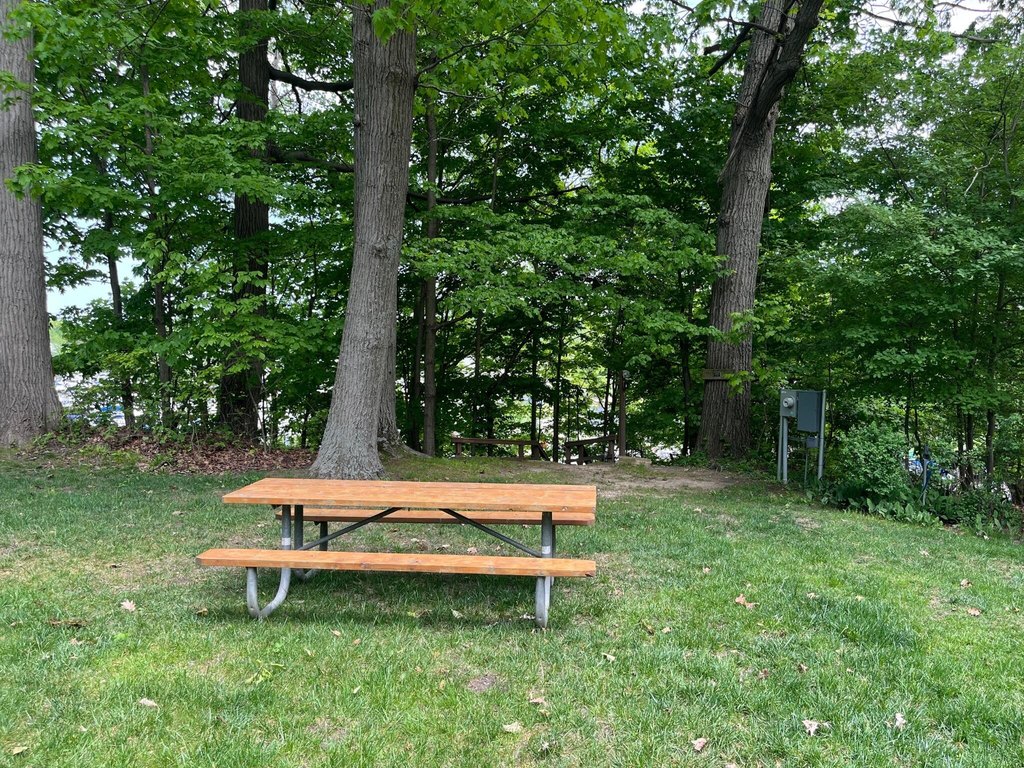 Picture 14