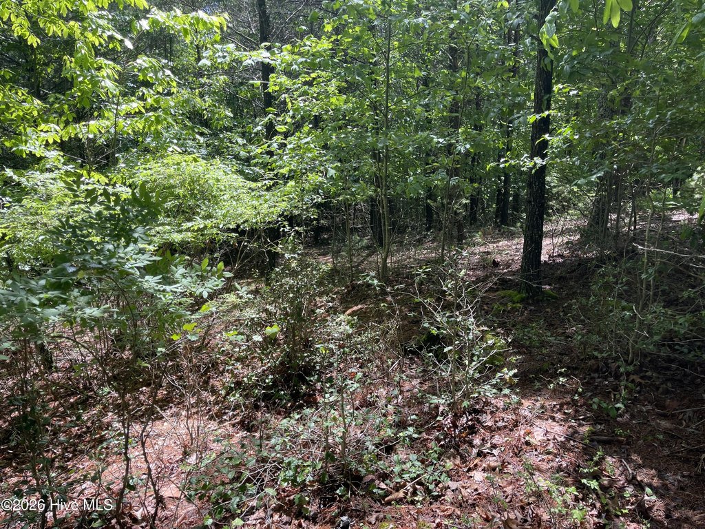 Picture 4