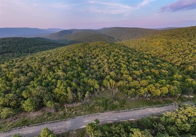 Ouachita Mountain Land for Sale