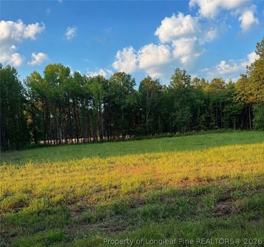 Land, Roseboro, NC