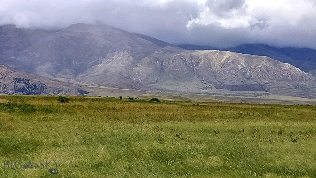 Picture 27