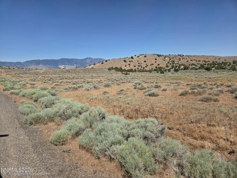 LAND - Fish Springs, NV