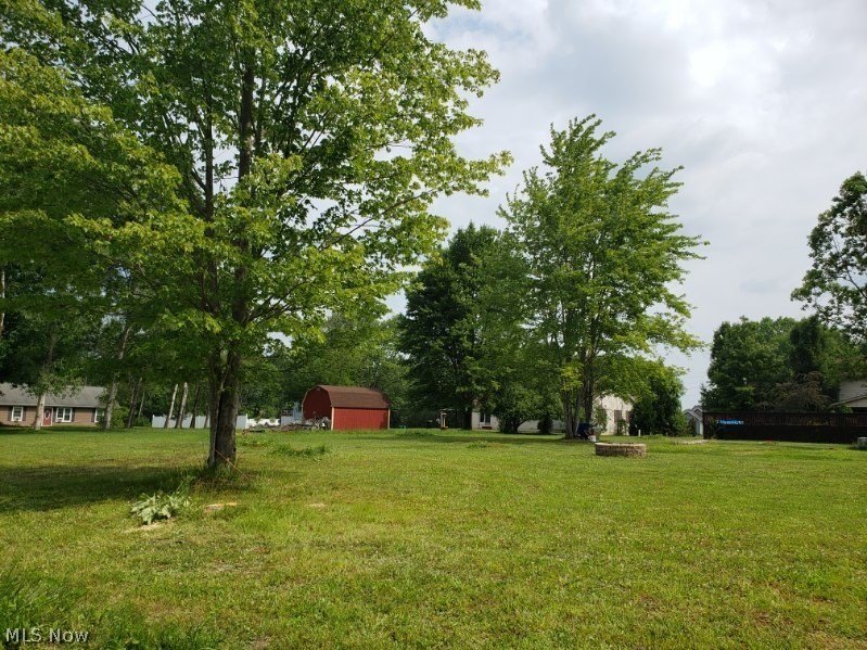 Picture 11