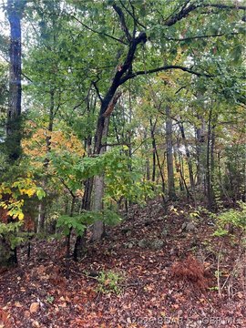 Land, Osage Beach, MO