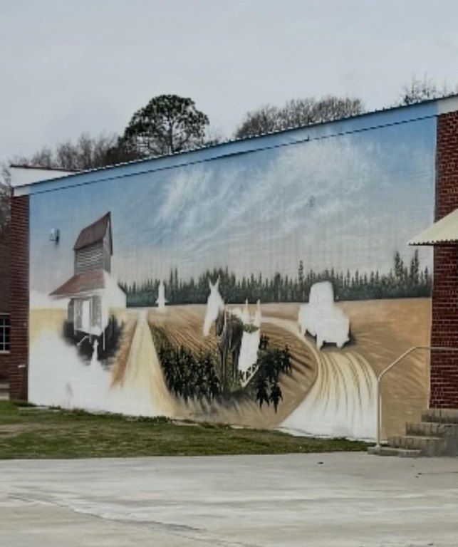 Picture 19