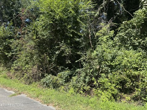 Lots & Acreage, Etowah, TN
