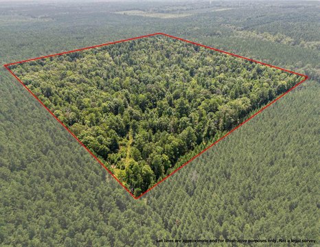 Sheridan, AR Hunting Land