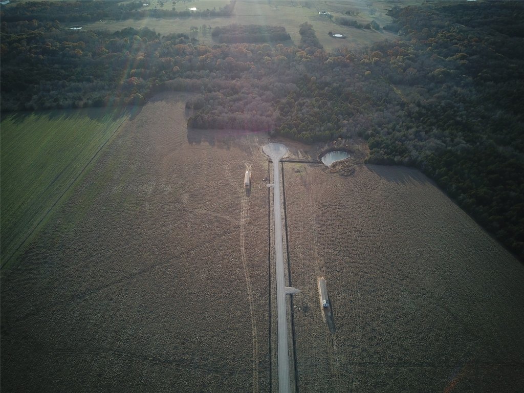 Picture 3