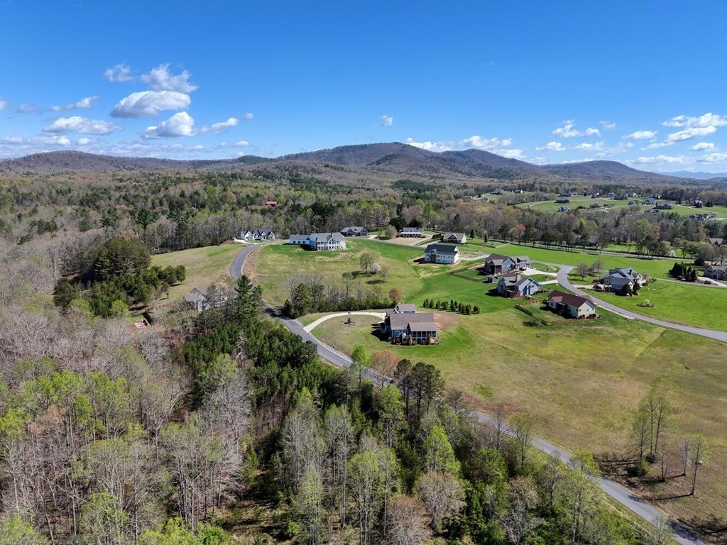 Picture 31