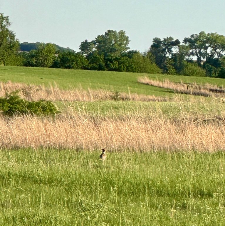 Picture 34