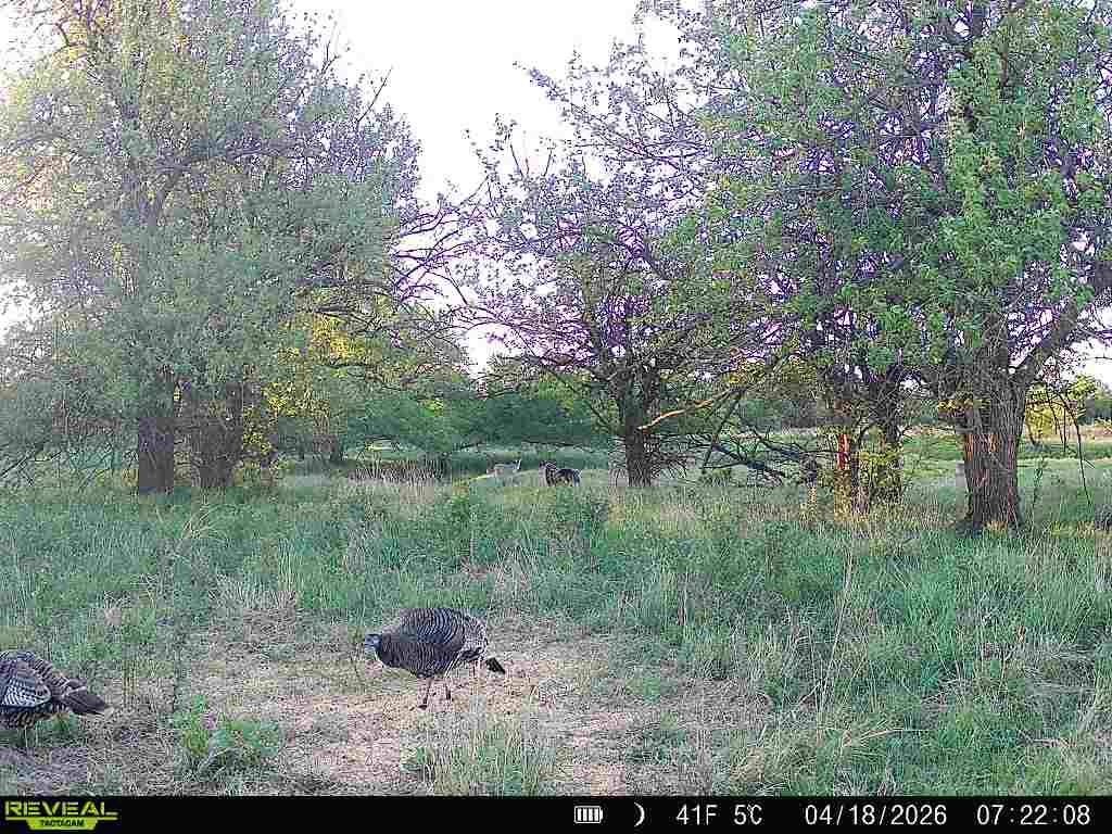 Picture 32