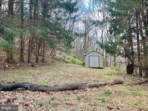 Three Acres of Wooded Land