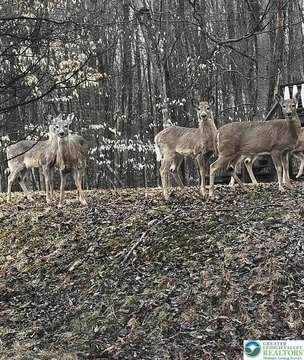 LAND - Coolbaugh Twp, PA
