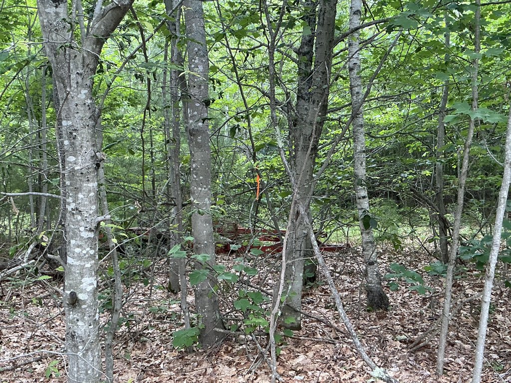Picture 7
