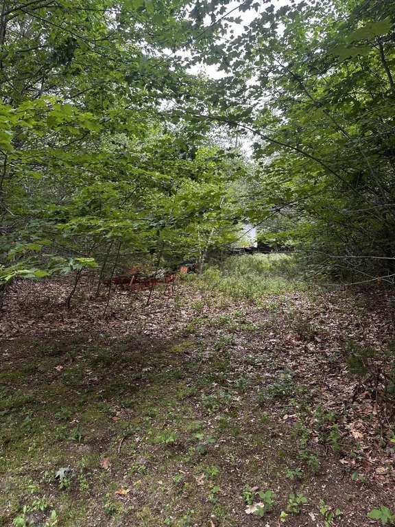 Picture 8