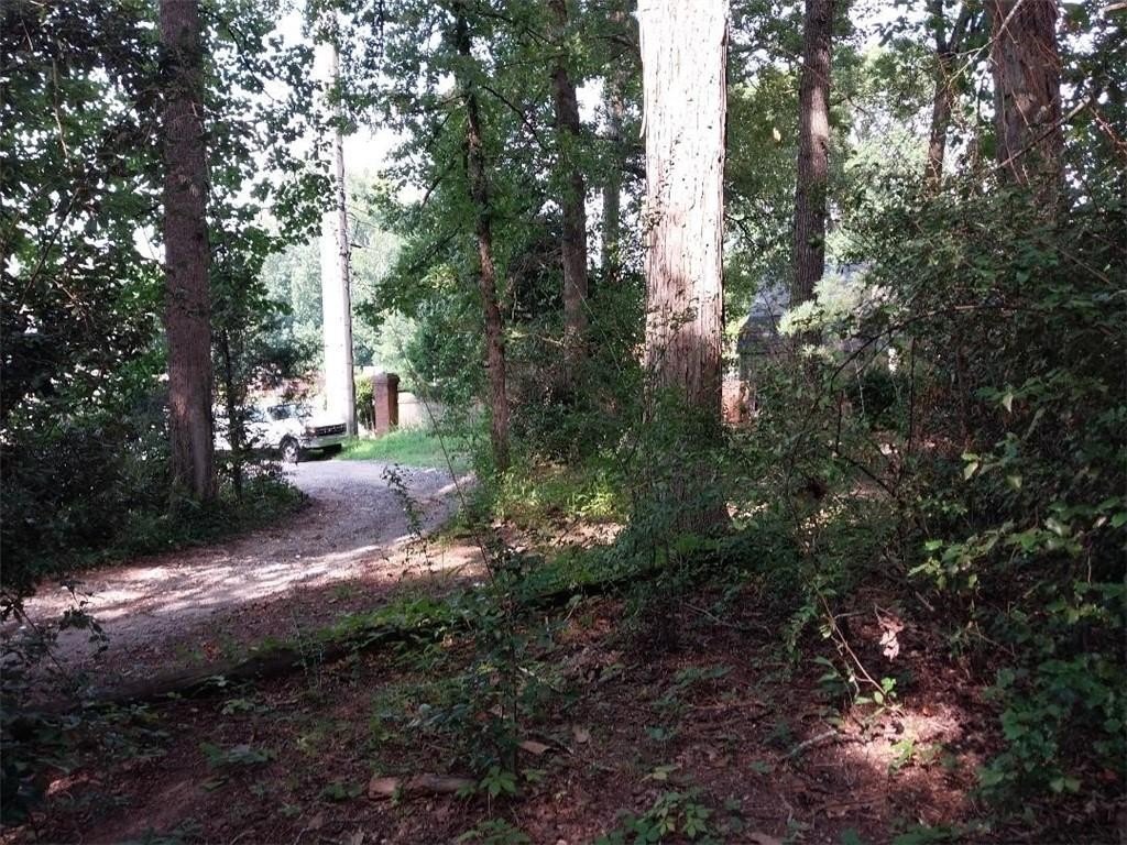 Picture 23