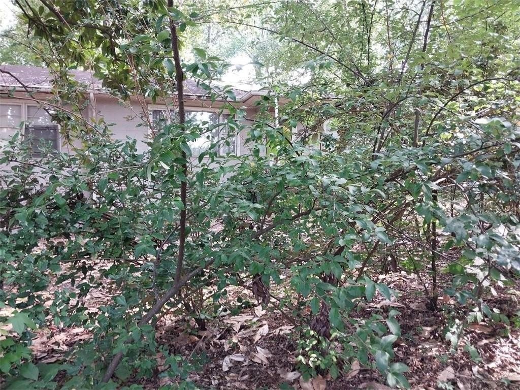 Picture 21