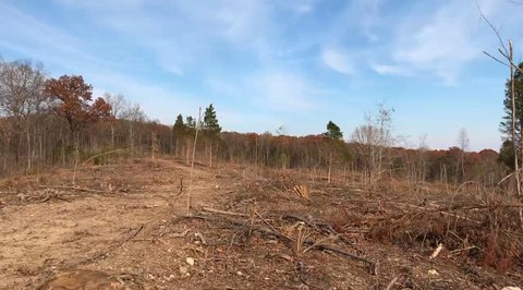 32 Acres of Vacant Land