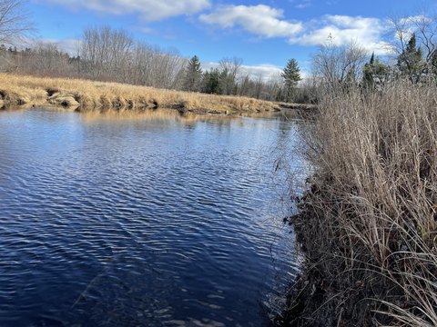 Passadumkeag River Waterfront Acreage