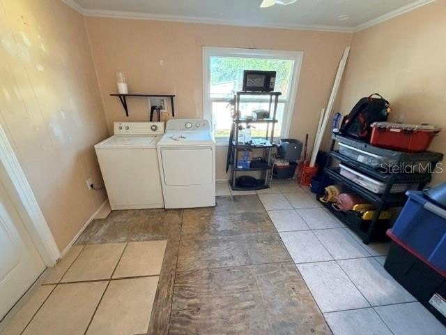 Picture 21