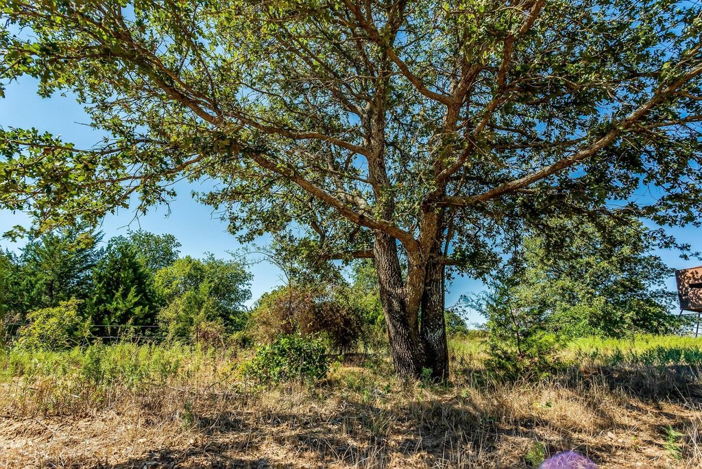 Picture 21