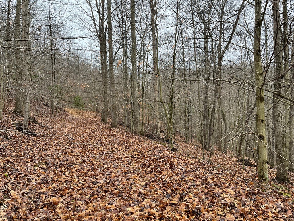 Picture 4