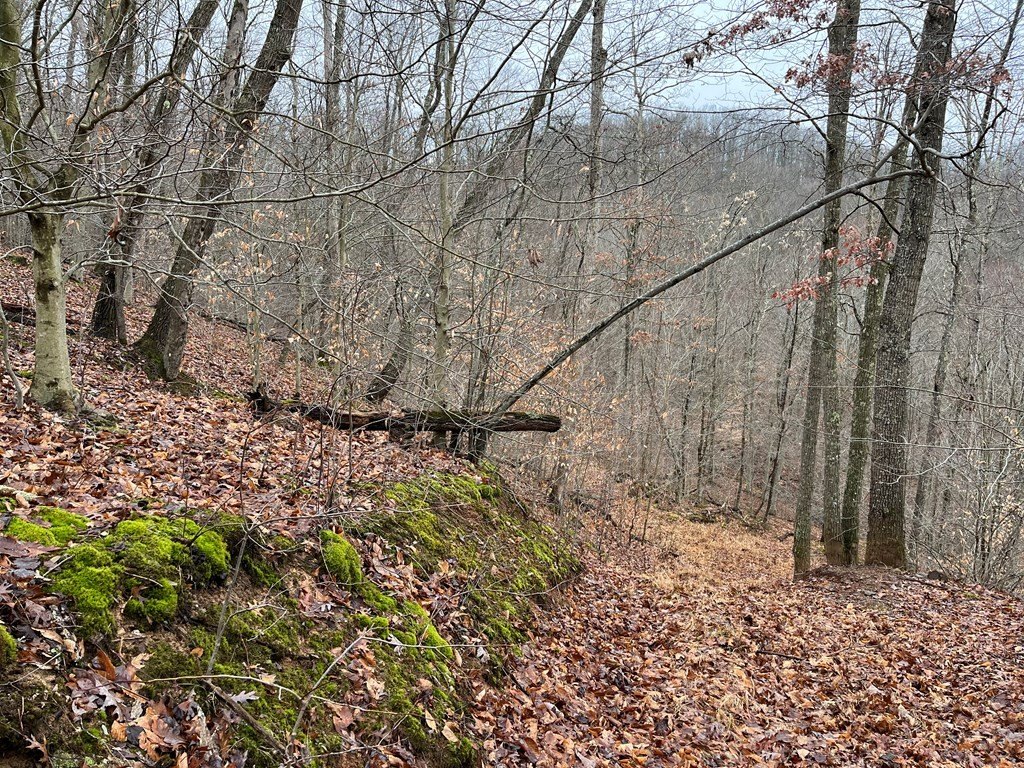 Picture 3