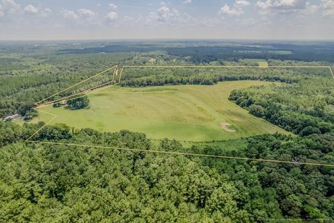 155 Acre Property in Alabama
