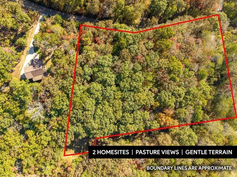 Vacant Lot, Mineral Bluff, GA