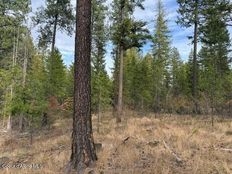 Land, Priest River, ID