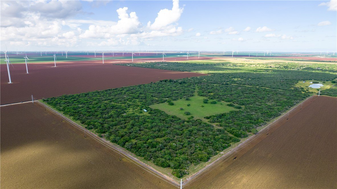 76.7 Acres Near Corpus Christi