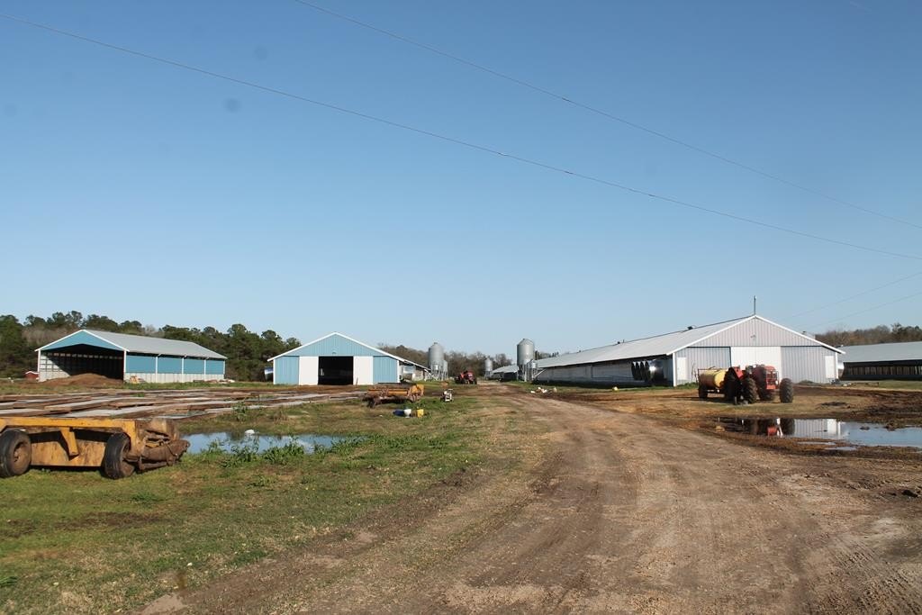 Updated Poultry Farm in Georgia