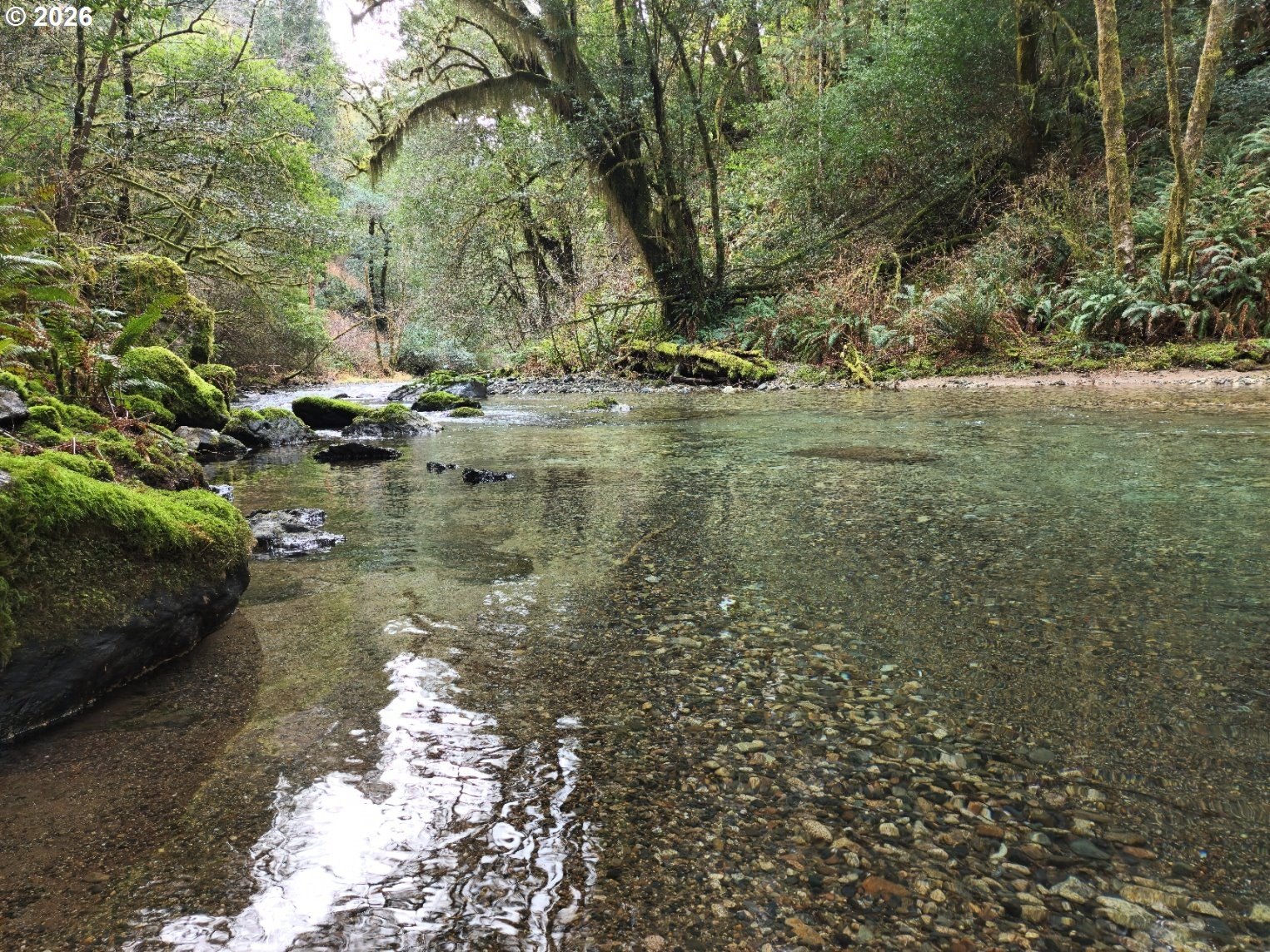 Siskiyou Forest Legacy Property
